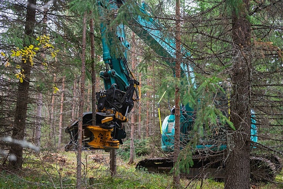 Trädklipp TMK 300 S45 - OMG LEVERANS