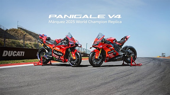 Ducati Panigale V4 Márquez 2025 World Champion Replica 10 of 10