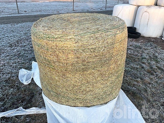 Hästhö Skörd 2025 - 25st