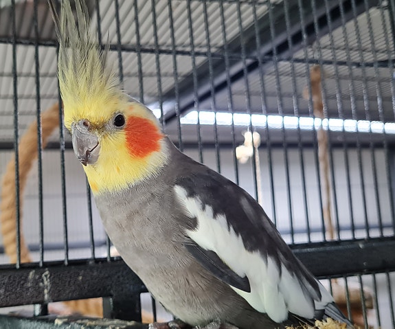 Product image 3 of 8