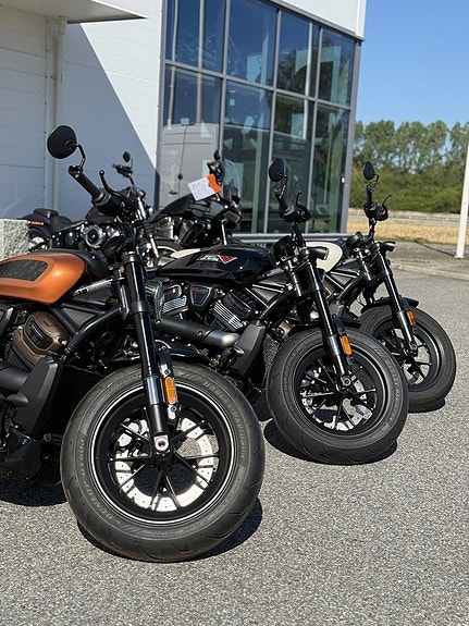 Harley-Davidson Sportster S 1250- Probike Edition 9 of 16