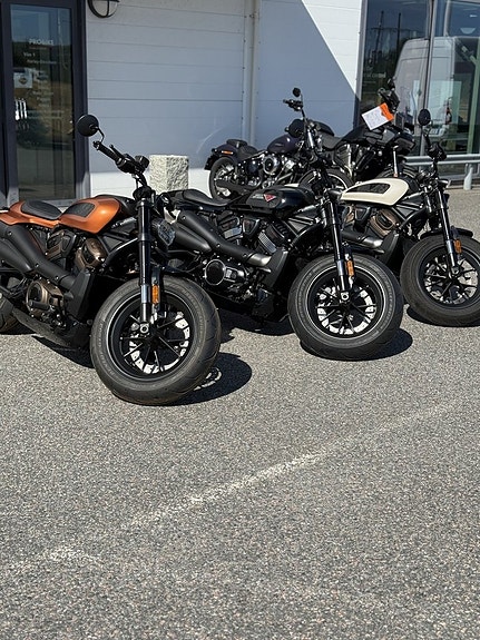 Harley-Davidson Sportster S 1250- Probike Edition 10 of 16