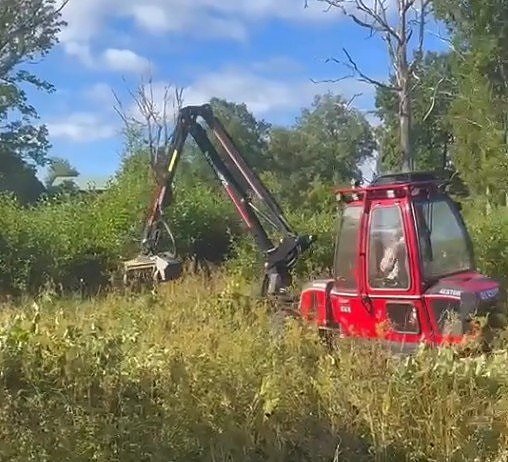 Nu kan utföra busk-röjning med skogsmaskin
