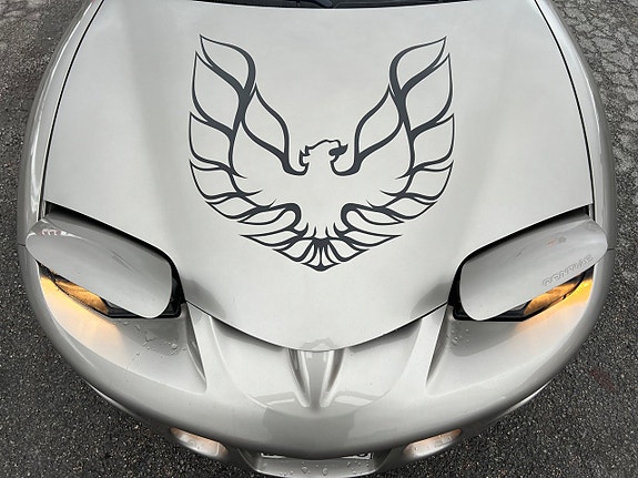 Pontiac Firebird 16 of 17