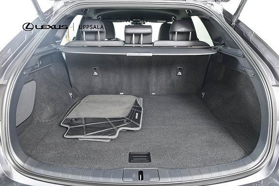Lexus RX450h+ 9 of 18