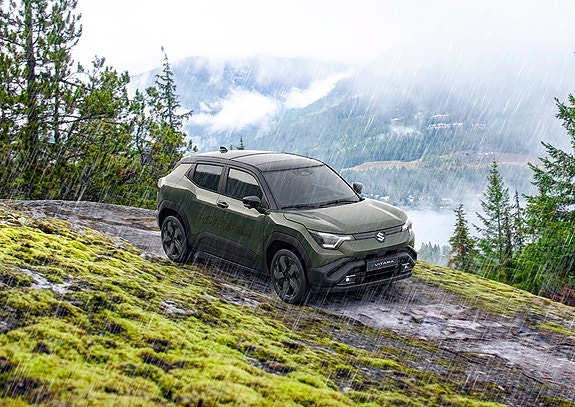 Suzuki eVitara 18 of 19