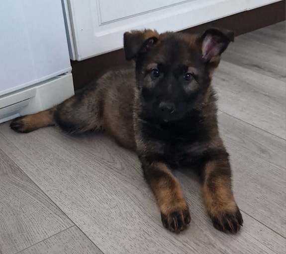 Product image 2 of 9