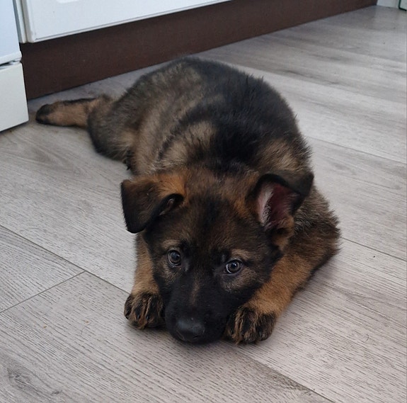 Product image 3 of 9