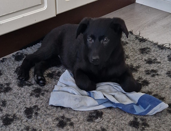 Product image 6 of 9