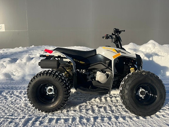 Can-Am Renegade STD 110 EFI