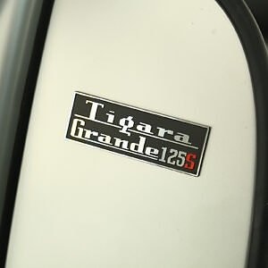 Royal Alloy TG125 SE 4 of 6
