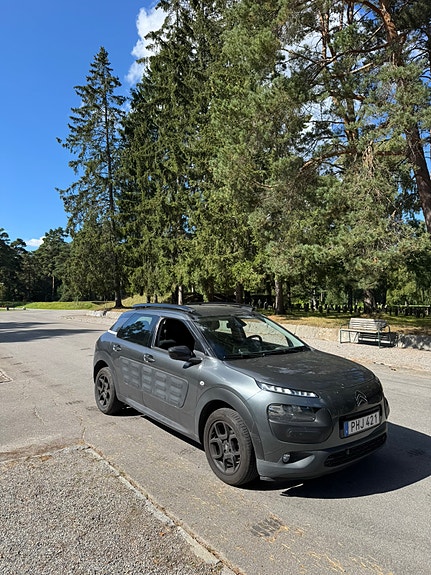 Citroen C4 Cactus 6 of 13