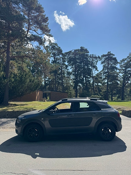 Citroen C4 Cactus 4 of 13