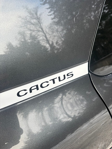 Citroen C4 Cactus 5 of 13