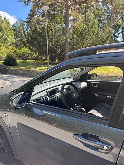 Citroen C4 Cactus 9 of 13