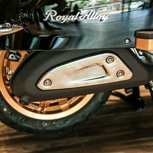 Royal Alloy JPS 350 Onroad 7 of 8