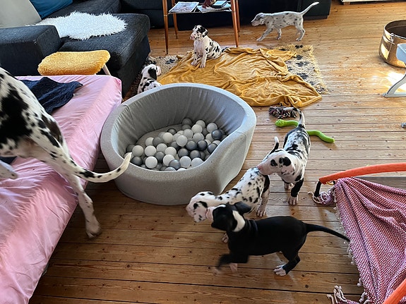 Product image 3 of 8