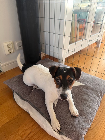 Product image 4 of 9