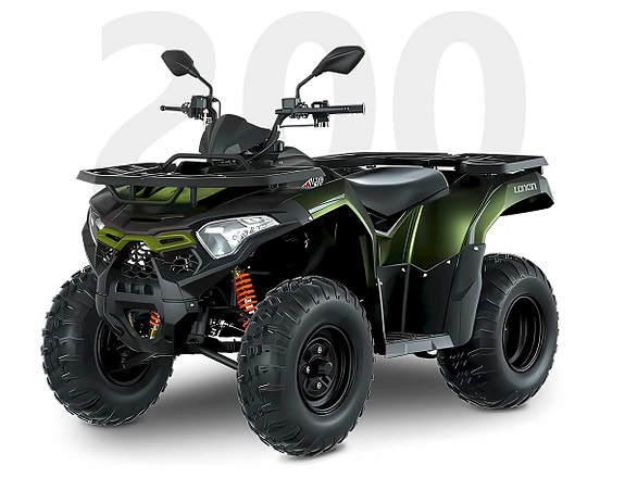 Loncin Xwolf  200 4 of 5