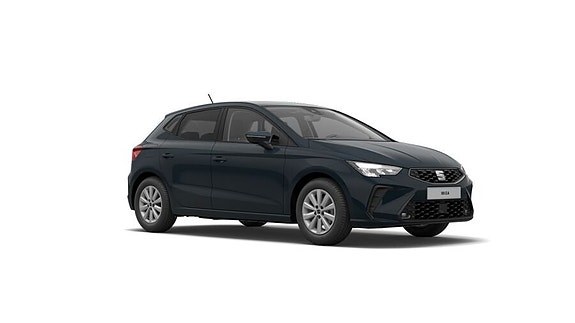 Seat Ibiza 11 of 12