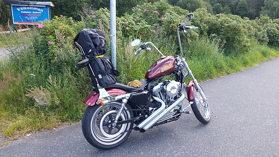 Harley-Davidson Seventy-Two 9 of 9