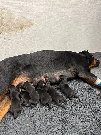 Product image 6 of 9