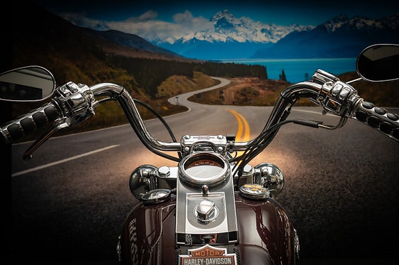 Harley-Davidson Softail Deluxe (FLSTNI) 7 of 15