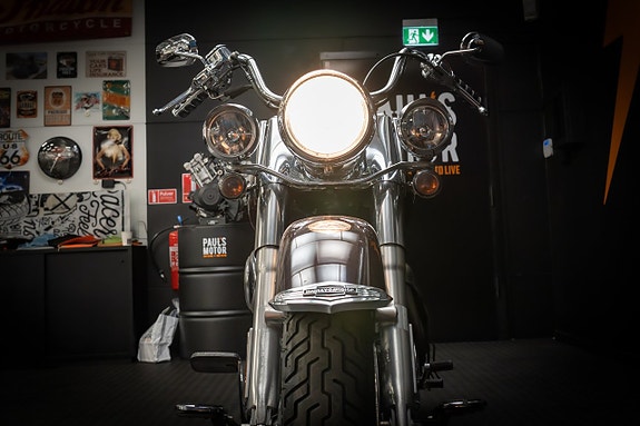 Harley-Davidson Softail Deluxe (FLSTNI) 6 of 15