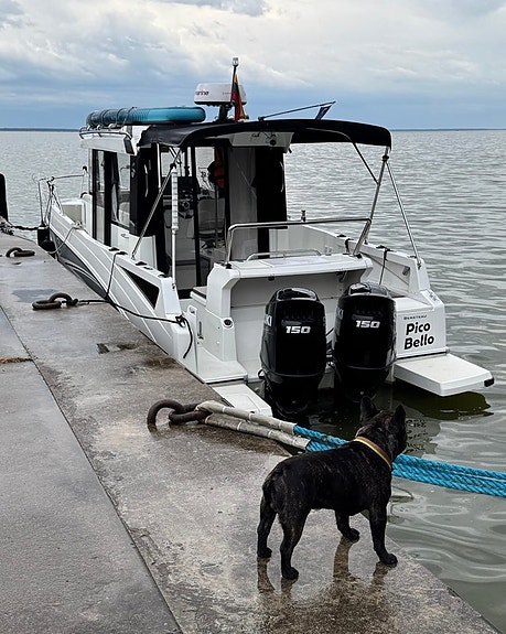 Beneteau Barracuda 8 | 2x Suzuki 150 APX 3 of 5