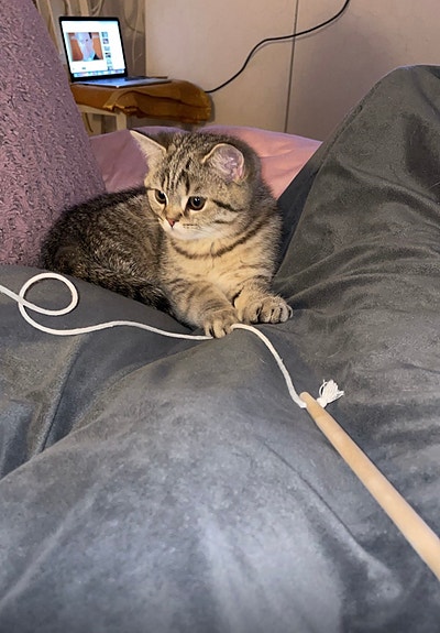 Product image 6 of 8