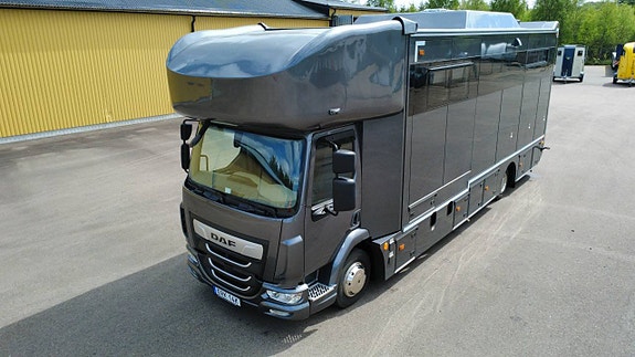 DAF Lehel horsebox 210 LF Hästtransport 5 of 11