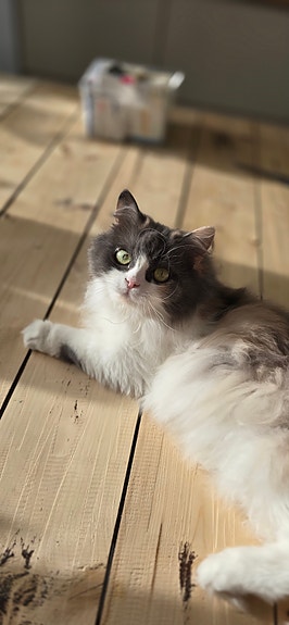 Product image 2 of 7