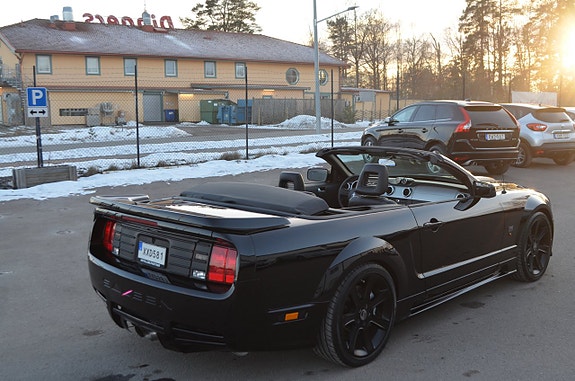 Saleen Mustang 17 of 30
