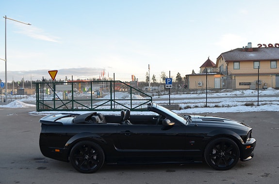 Saleen Mustang 16 of 30
