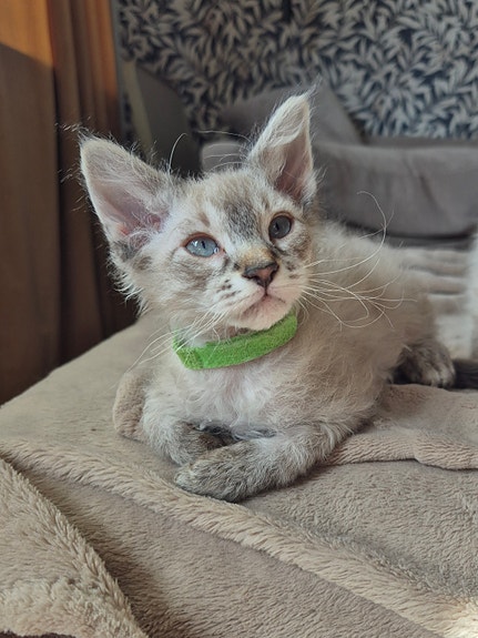 Product image 3 of 6