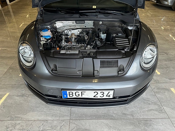 Volkswagen Beetle 13 of 19
