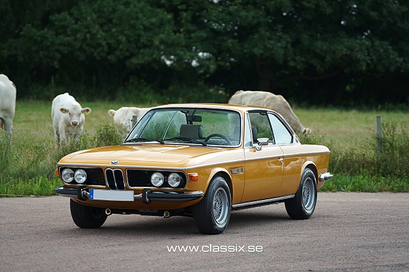BMW 3.0 CSI 8 of 30