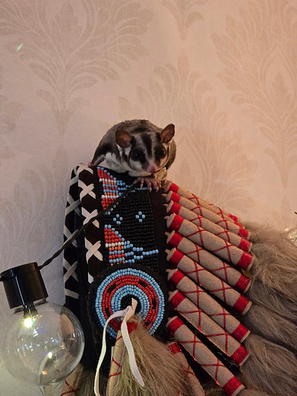 Product image 4 of 10