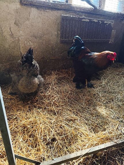 Product image 5 of 9