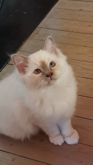 Product image 5 of 5