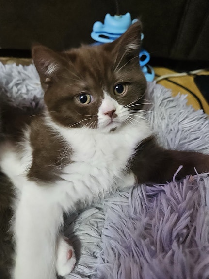 Product image 4 of 9