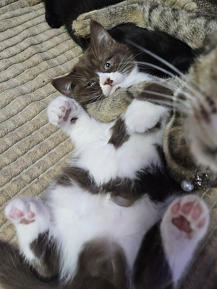 Product image 5 of 9