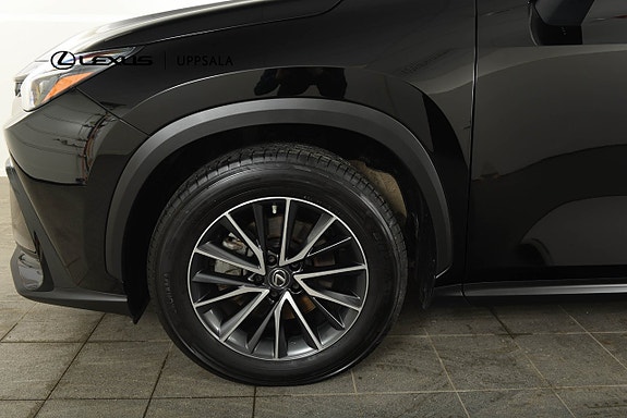 Lexus NX350h 21 of 21
