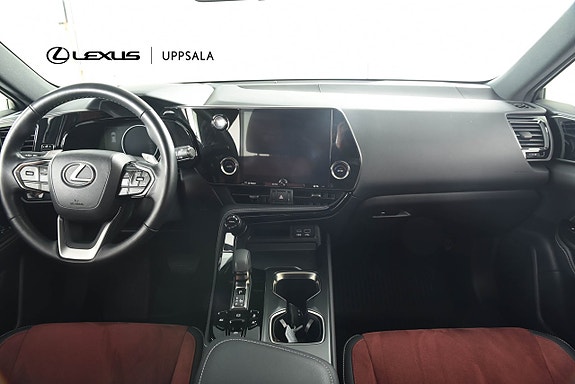 Lexus NX350h 8 of 21