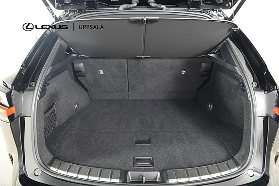 Lexus NX350h 10 of 21