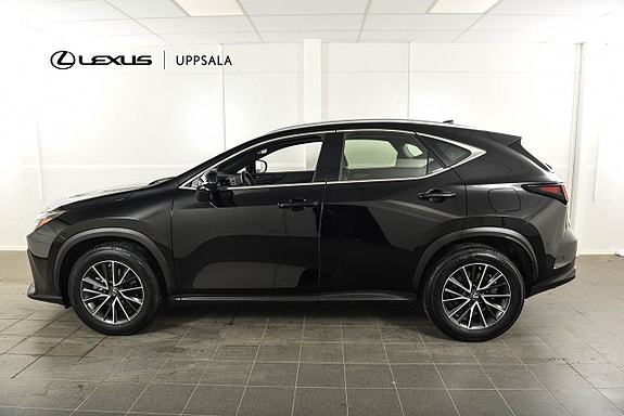 Lexus NX350h 2 of 5