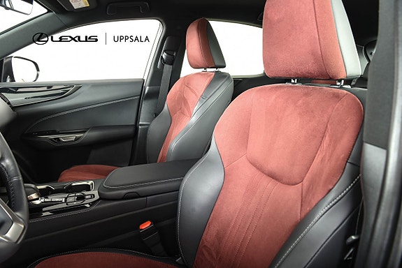 Lexus NX350h 7 of 21