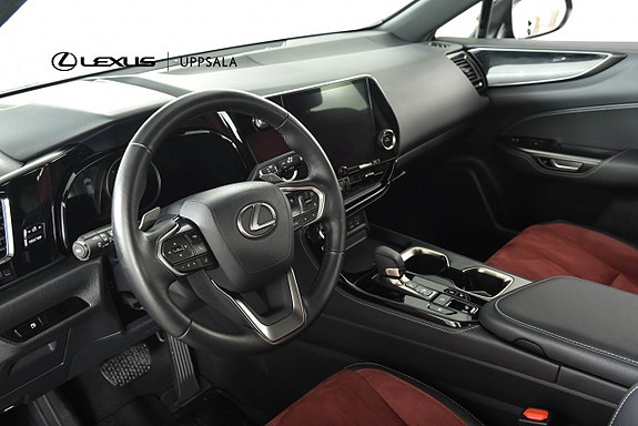 Lexus NX350h 6 of 21