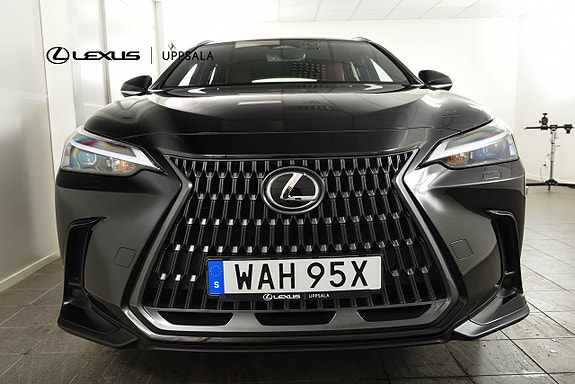 Lexus NX350h 4 of 5