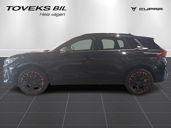 Cupra Terramar 6 of 23